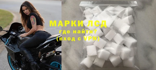 СК Зерноград