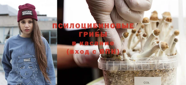 эйфоретик Зеленодольск