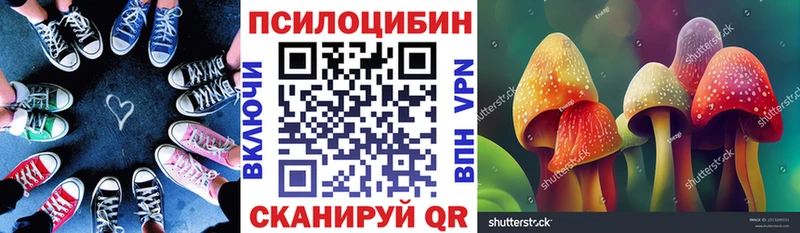 Псилоцибиновые грибы GOLDEN TEACHER Звенигово